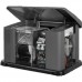 Генератор газовый Briggs & Stratton 040491