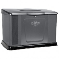 Генератор газовый Briggs & Stratton 040489