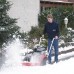 Машина подметальная бензиновая Tielbuerger TK38 (Briggs & Stratton)