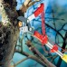 Секатор для веток Wolf-Garten RC-VM