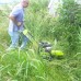 Газонокосилка бензиновая Grillo HWT 550 Tilt