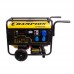 Генератор бензиновый Champion LPG6500E (бензин или газ)