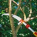 Пила для сучков с ручкой Wolf-Garten RE-PM/ZM-V4