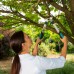 Сучкорез Gardena EasyCut 500B