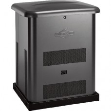Генератор газовый Briggs & Stratton 040494