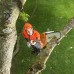 Высоторез аккумуляторный Stihl HTA 85