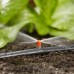 Микронасадка ленточная Gardena